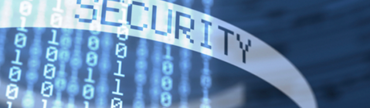 Because flexibility is essential in security related matters