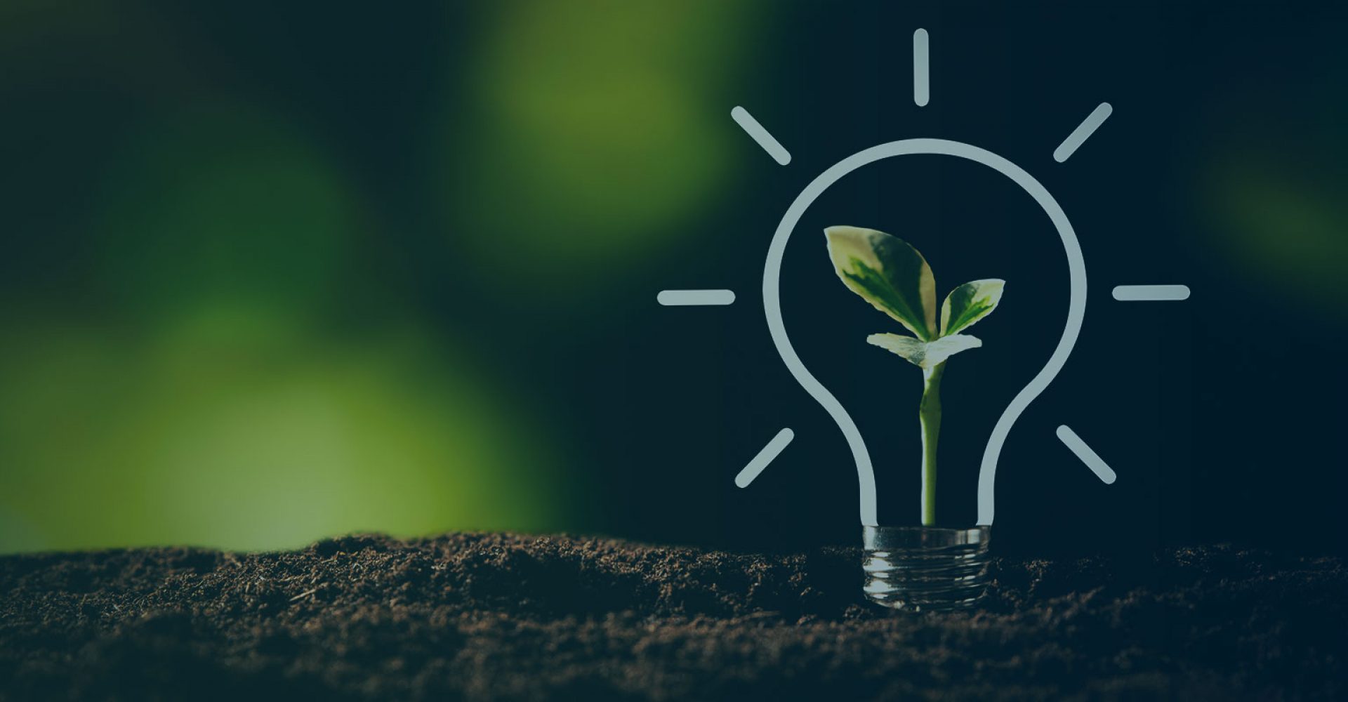 Ascenty integra categoria Prata do Programa Brasileiro GHG Protocol por neutralização completa de emissões de gases de efeito estufa