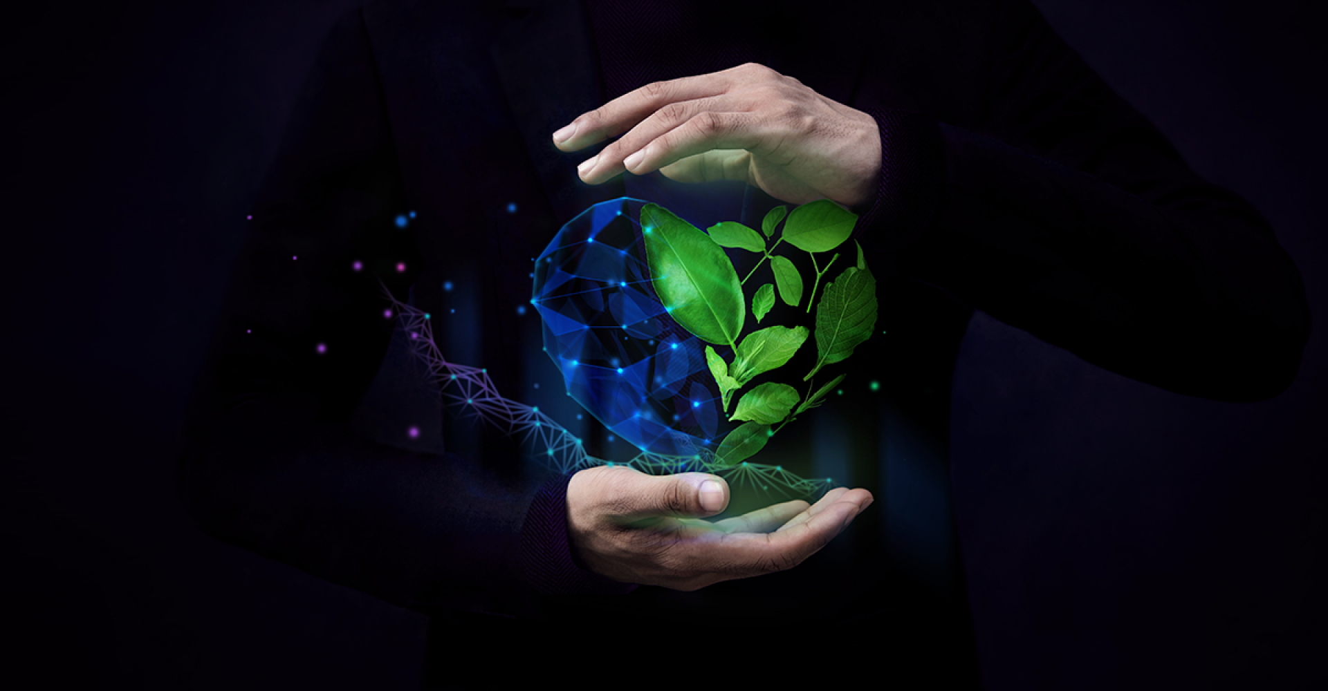 Por que todas as empresas devem priorizar a Sustentabilidade Digital?