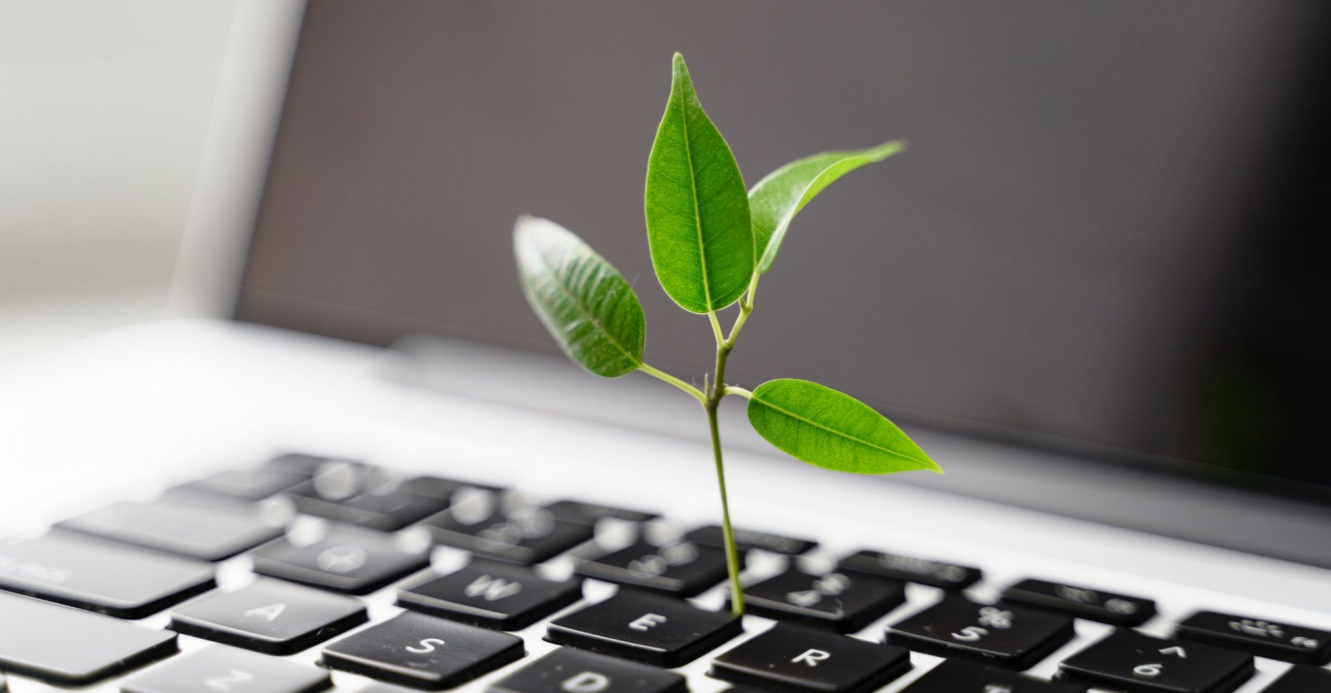 Entenda por que as empresas devem aderir à sustentabilidade digital