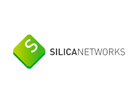 Silica Networks