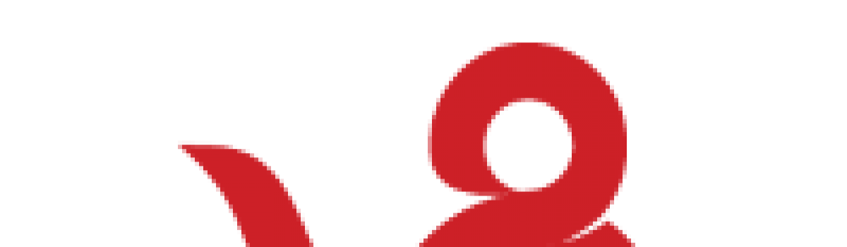 V8 Consulting