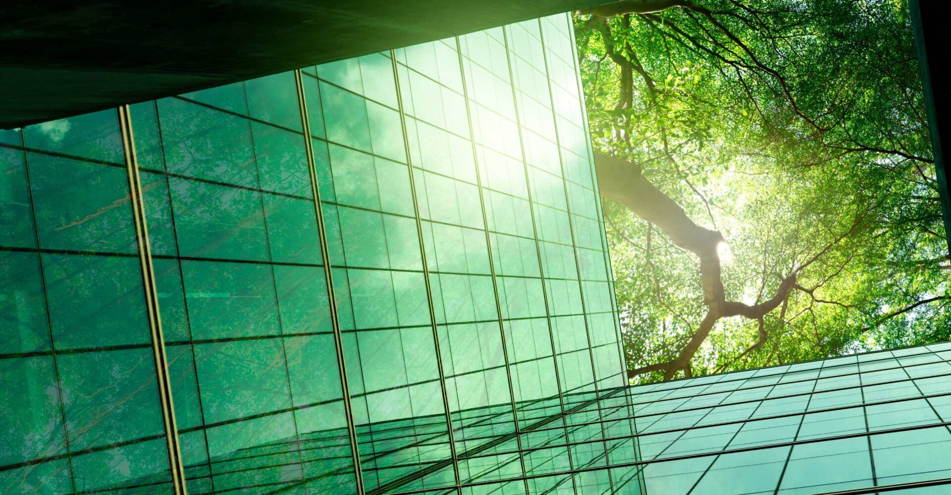 Ascenty divulga Relatório ESG 2024 e reforça liderança em sustentabilidade no setor de data centers